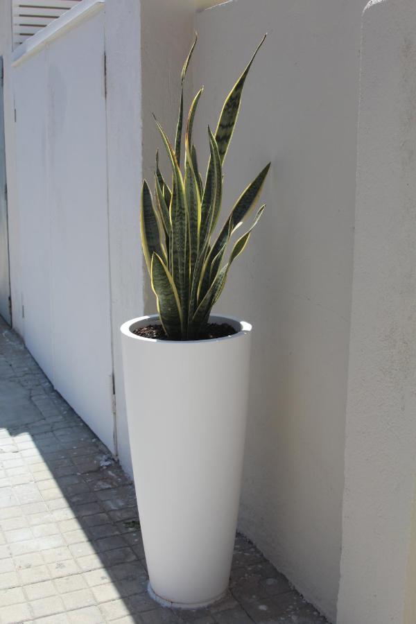 Don Francisco Rooms - Tropea Exterior foto